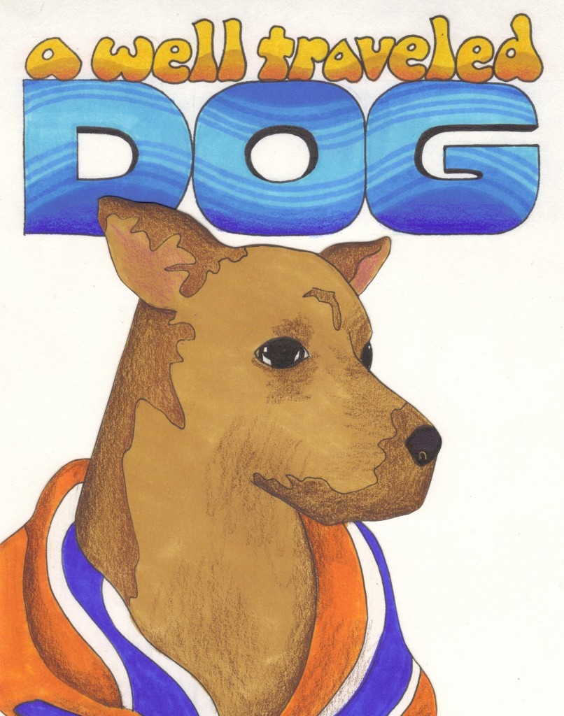 halley a well traveled dog KERRIGAN 001 (2)